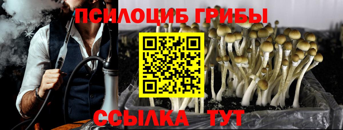 купить наркотик  Псилоцибиновые грибы MAGIC MUSHROOMS  Вход с VPN  Барнаул 